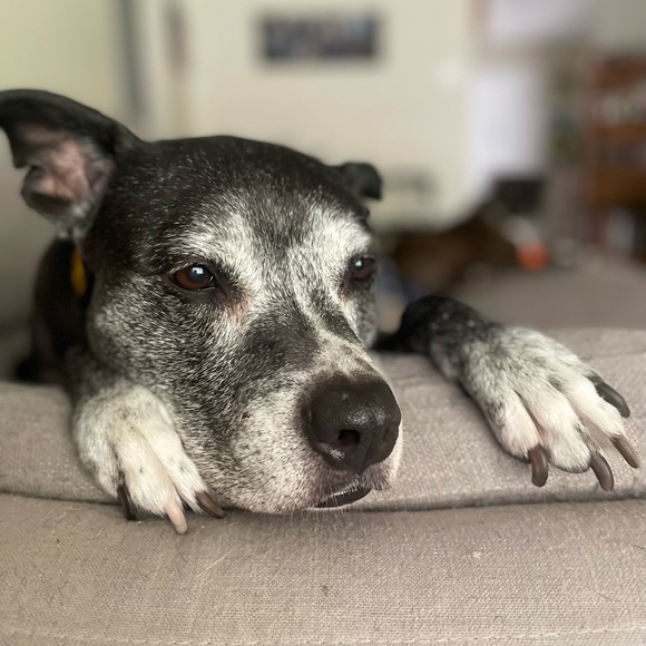 🧜🏼‍♀️ Meet Your Posher! 🦩 - Picture 7 of 10